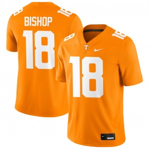 #18 DeSean Bishop Vols Tennessee Orange Men's Jersey University College Football 206343-805