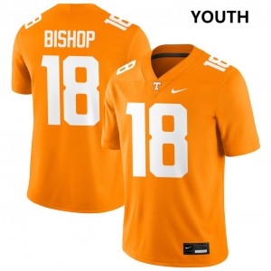 #18 DeSean Bishop TN Volunteers Tennessee Orange Youth Jerseys Stitched College Football 810420-415