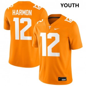 #12 Jaedon Harmon University Of Tennessee Tennessee Orange Youth Jerseys Game College Football 711628-119
