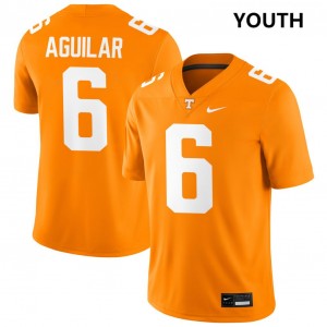 #6 Joey Aguilar UT Vols Tennessee Orange Youth Jersey Official College Football 485360-233