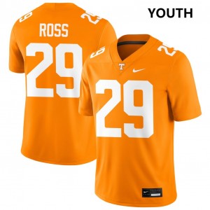 #29 Jordan Ross Tenn Vols Tennessee Orange Youth Jersey University College Football 358548-453