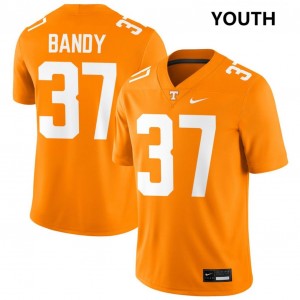 #37 Montrell Bandy TN Volunteers Tennessee Orange Youth Jerseys High School College Football 934198-487