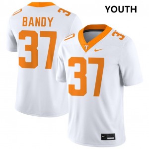 #37 Montrell Bandy TN White Youth Jerseys Replica College Football 918455-411